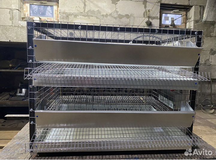 Клетка на каркасе для 60 перепелов