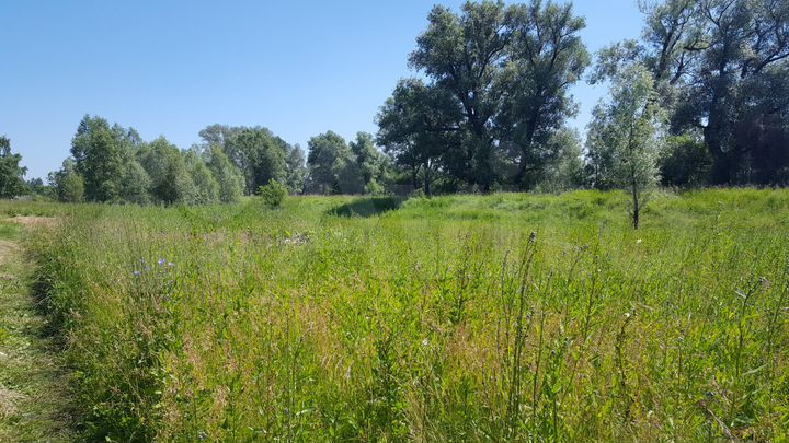 Участок 21 сот. (ИЖС)