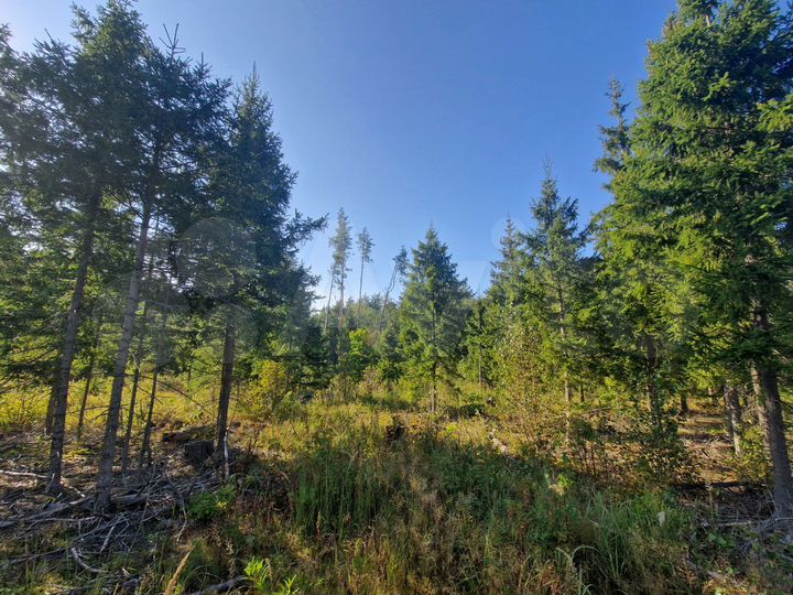 Участок 21 сот. (ИЖС)