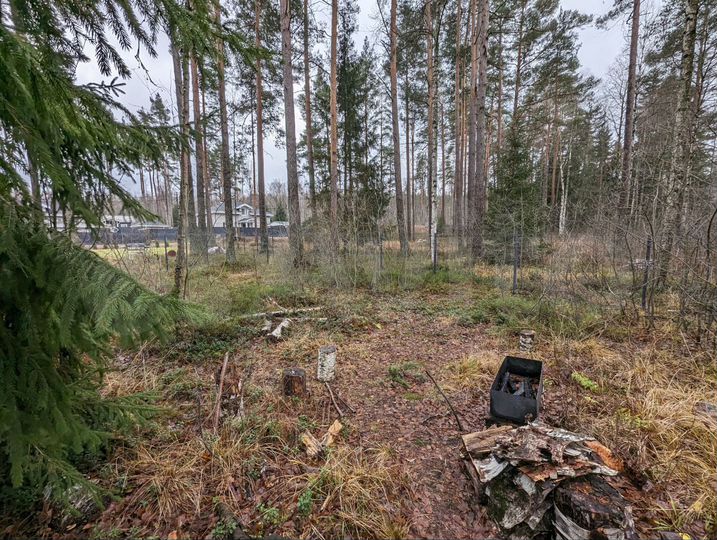 Участок 10,7 сот. (СНТ, ДНП)