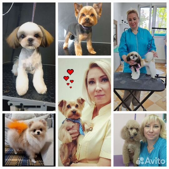 Красота и Настроение за достойное вознаграждение