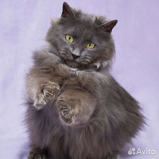 Эби никто не замечает