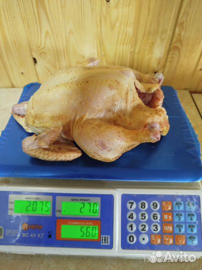 Мясо домашнего бройлера