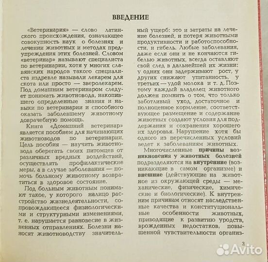 Домашний ветеринар, Петрухин