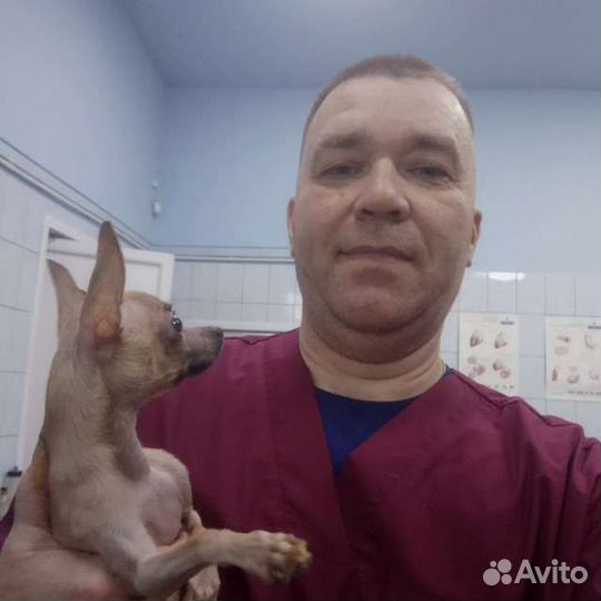 Ветеринарный врач на дом
