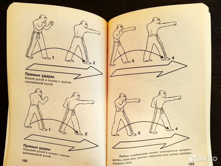 Кикбоксинг учения