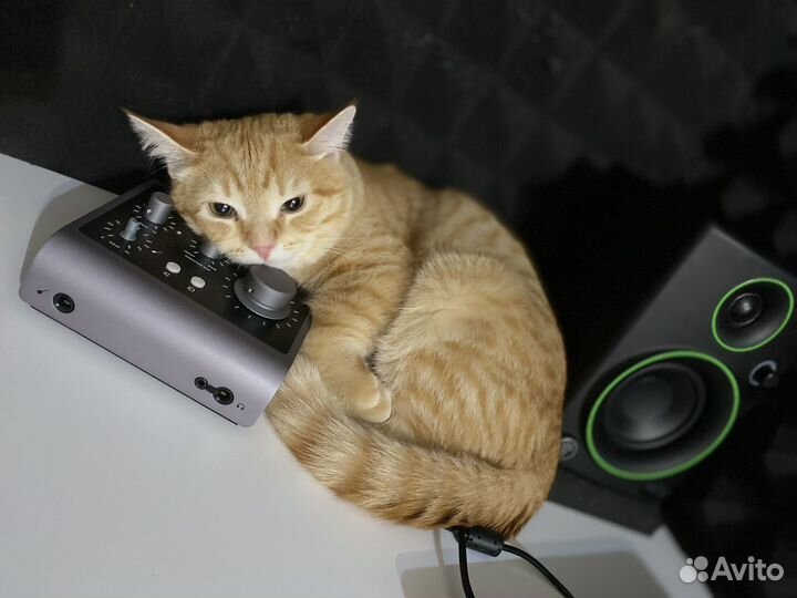 Сведение / мастеринг / саунд дизайн