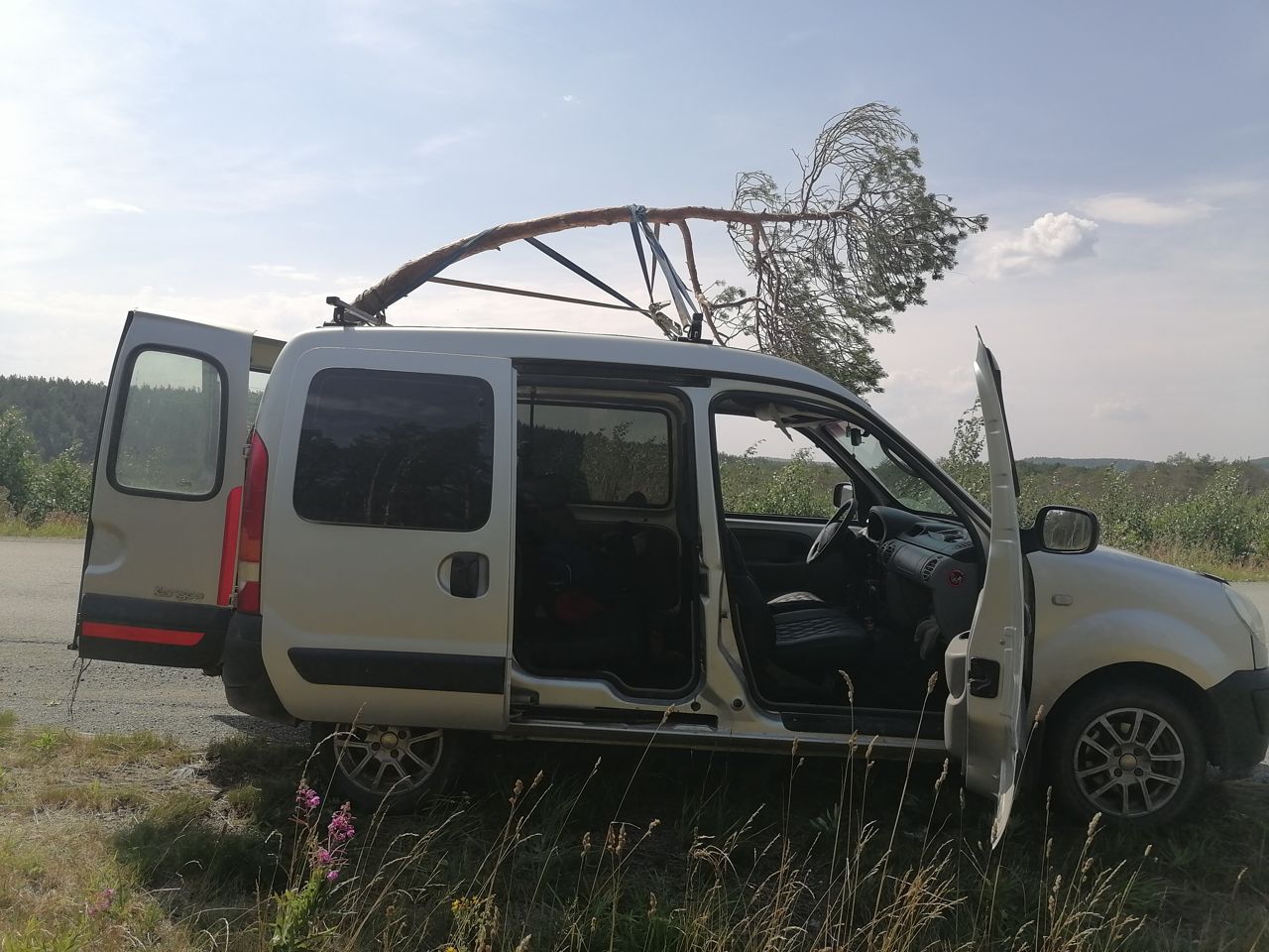 Renault Kangoo: фото владельца