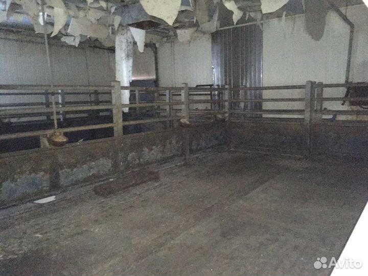 Ограждение крс, загон крс, забор крс