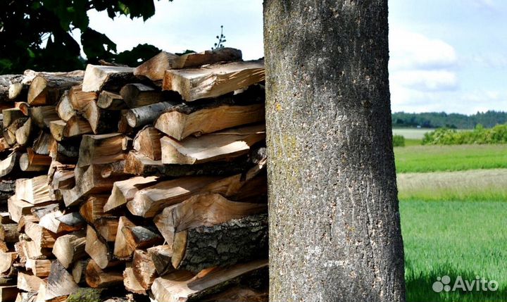 Дрова в город