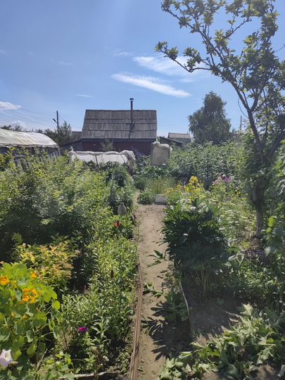 Дача 24 м² на участке 6 сот.