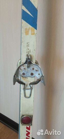 Беговые лыжи