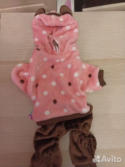 Одежда для собак