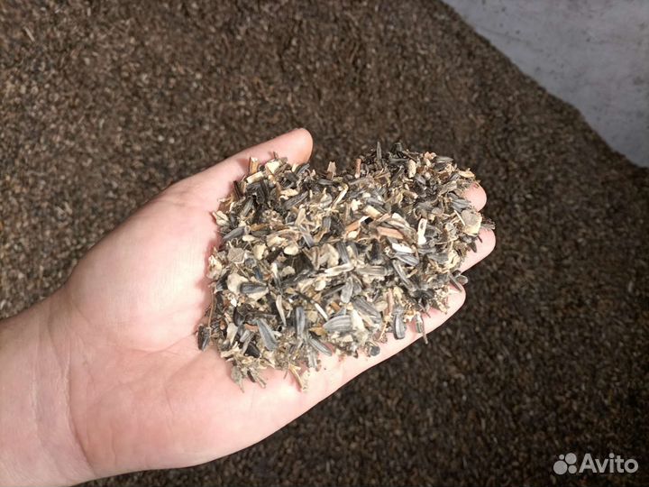 Зерно, зерносмесь