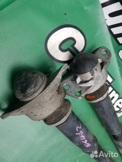 Амортизаторы задние Audi A3 8P caxc 2009