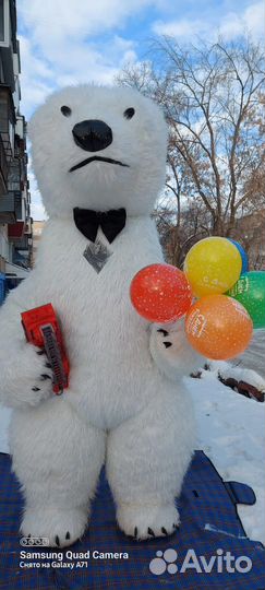 Белый мишка поздравление