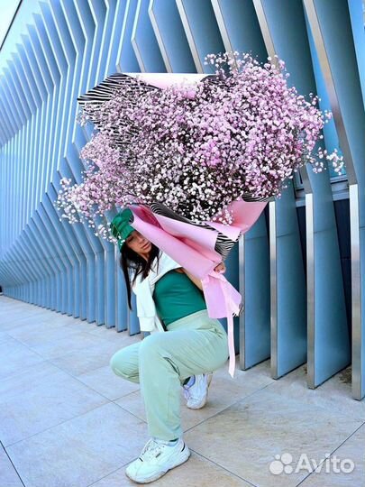 Цветы гипсофила Облако Счастья