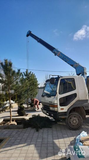 Услуги манипулятора 7-12 тонн