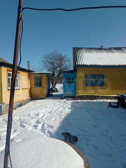 Дом 58 м² на участке 50 сот.