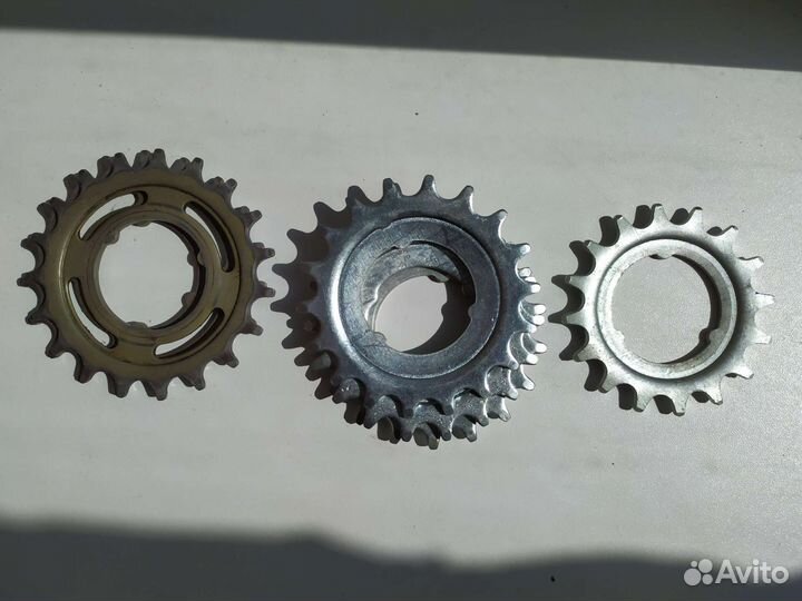 Звезда задняя