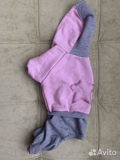 Одежда для собак