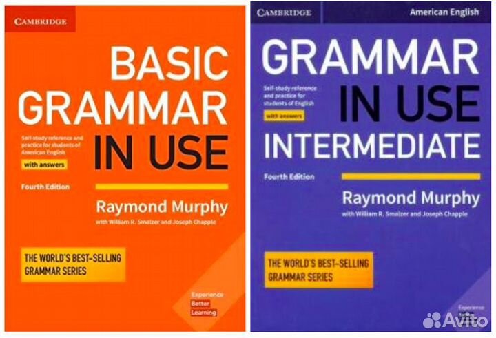 Помощь по английскому и французскому языкам