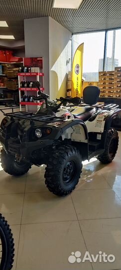 Квадрицикл Baltmotors Striker 500 EFI с птс