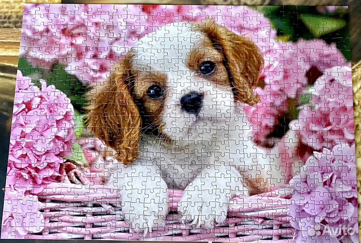 Пазлы 500 деталей