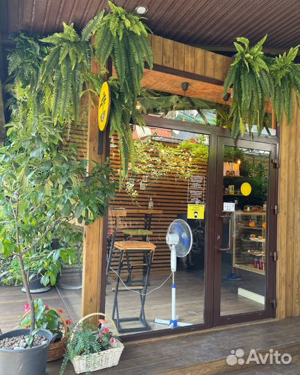 Вакансия бариста в кофейню