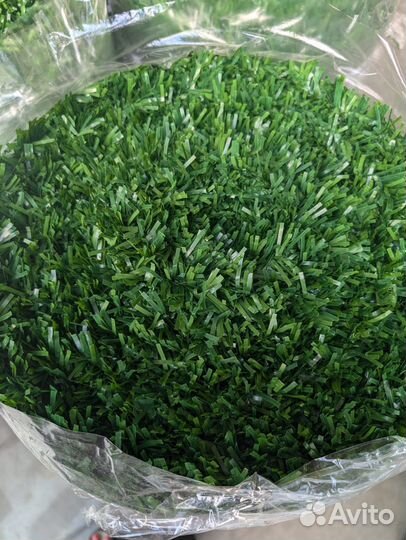 Зеленая изгородь / Калифорнийская изгородь