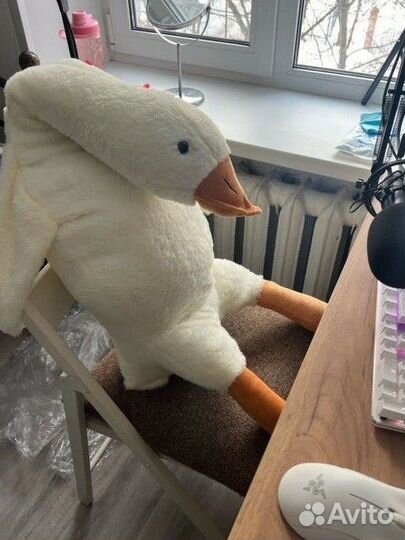 Гусь обнимусь