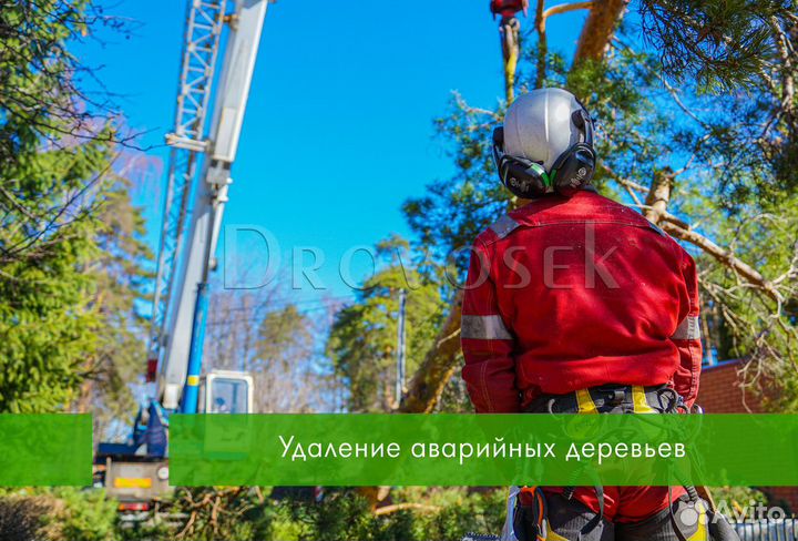 Удаление, вырубка, спил и обрезка деревьев Тучково