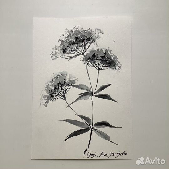 Акварели в японской технике суми-е