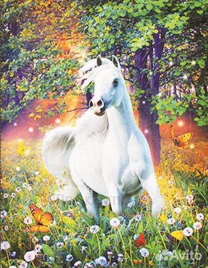 Алмазная мозаика 40x50 Белая лошадь среди луговых