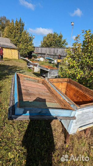 Продам ульи для пчел