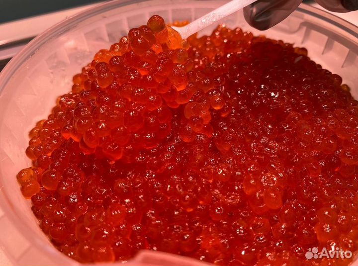 Красная икра Опт Кета Горбуша Нерка