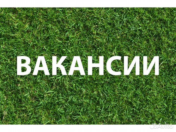 Требуется Упаковщик на Склад игрушек /Хор. усл. б