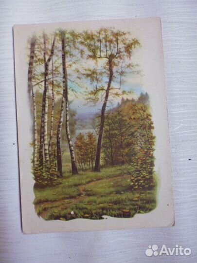 Открытки «Цветы, природа» 1960-80 гг. (советские)