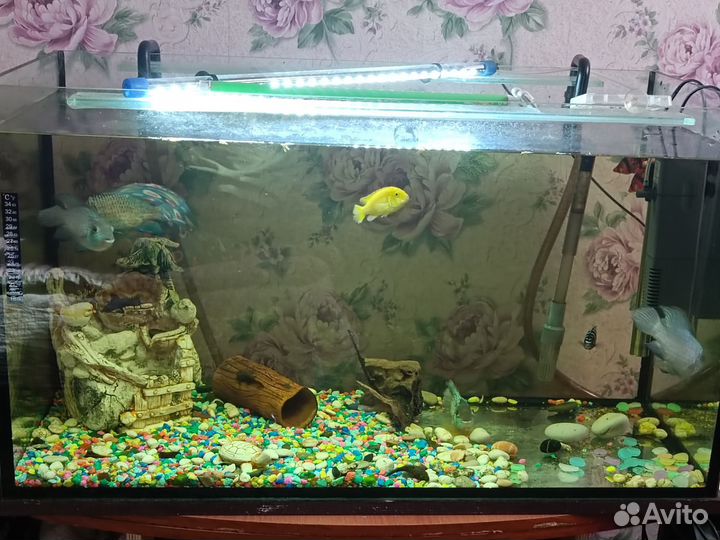 Аквариум