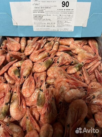 Креветка Северная 90+