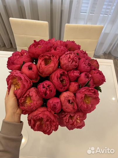 Букет пионов доставка