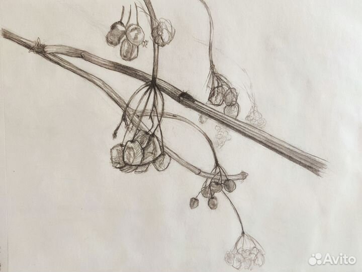 Рисунок карандашом