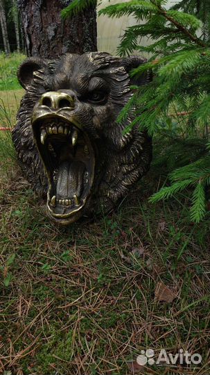 Голова медведя