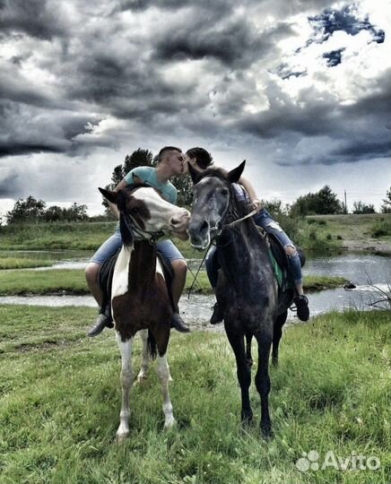 Конные прогулки