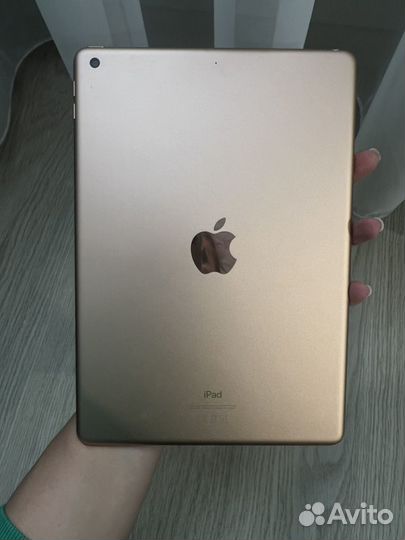 iPad