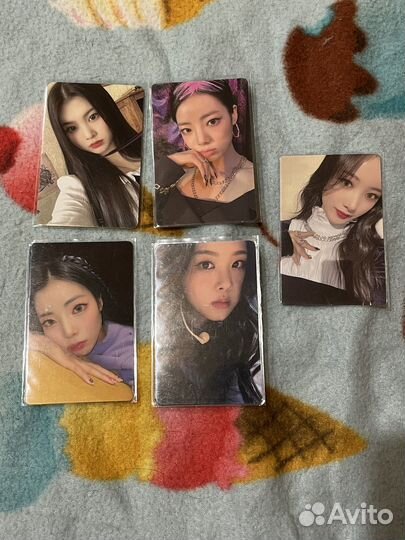 Карты purple kiss