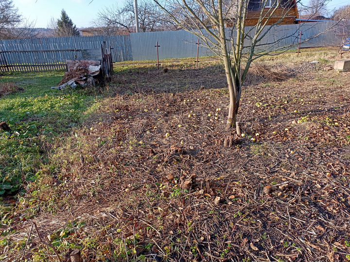 Дача 20 м² на участке 5 сот.