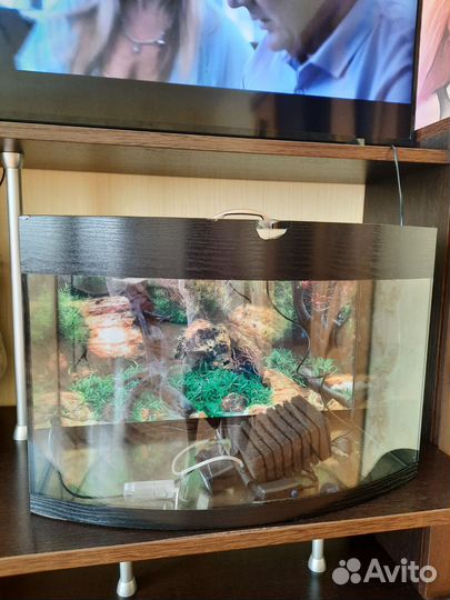 Аквариум