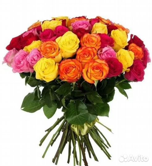 Цветы. Букет из 51 розы 50-60 см