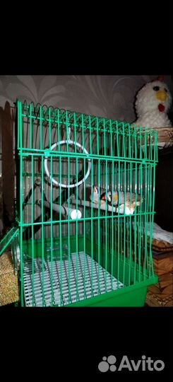 Клетка для мелких птиц